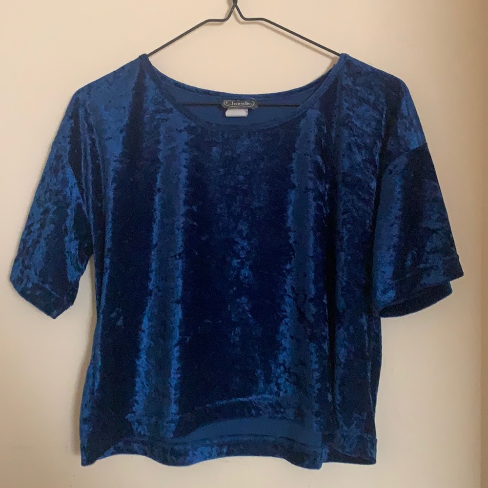 Blue Velvet Short Sleeve Top Large